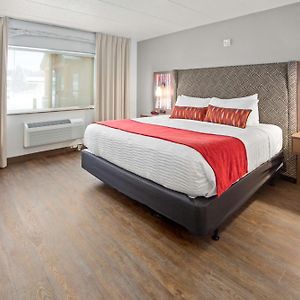 King Room Pet-Friendly or Non-Smoking